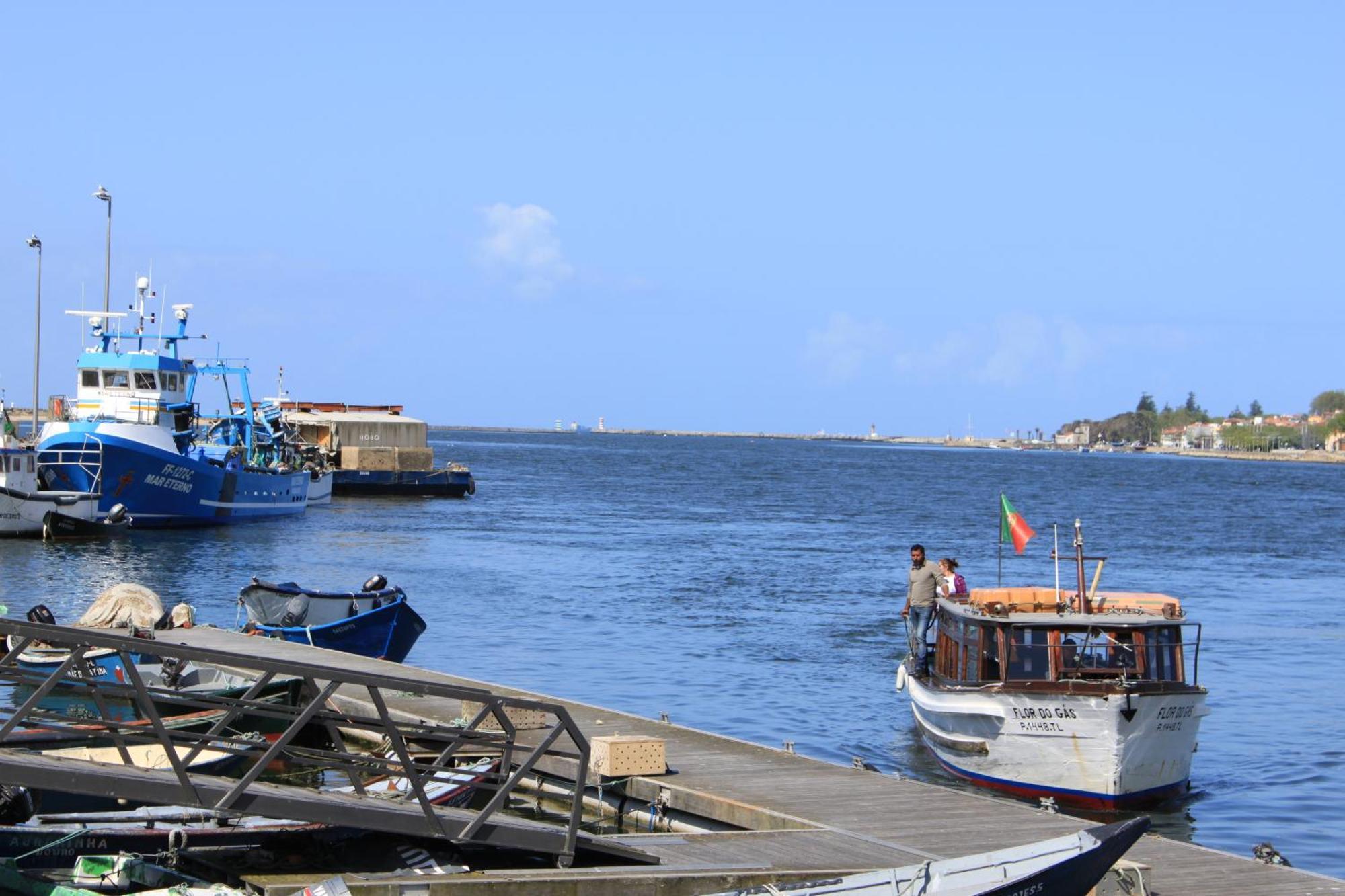 Douro Marina Studios